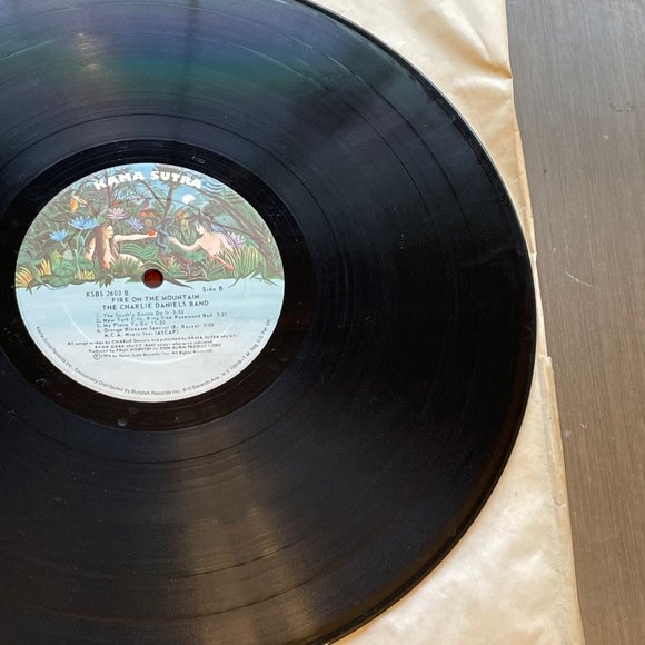 Charlie Daniels Band “Fire on the Mountain” vinyl LP - Picture 13 of 16